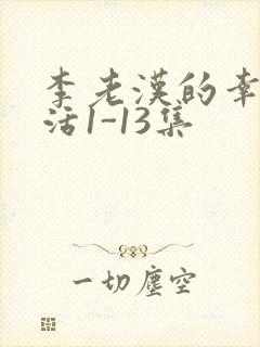 李老汉的幸福生活1-13集