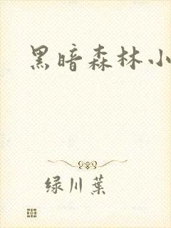黑暗森林小说