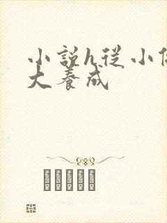 小说h从小做到大养成