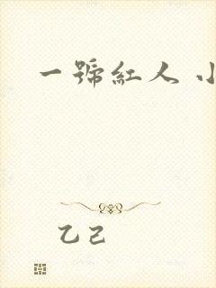 一号红人 小说