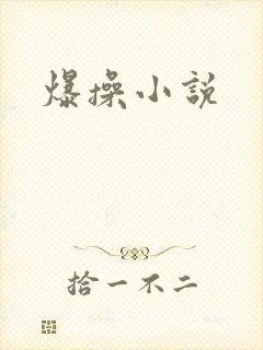 爆操小说