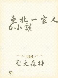 东北一家人1一6小说