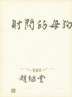 财阀的母狗们