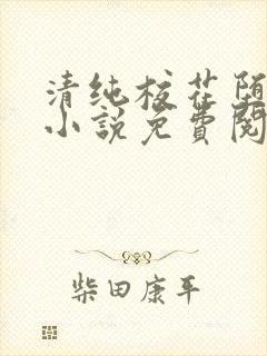 清纯校花堕落记小说免费阅读