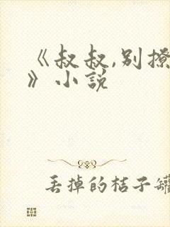 《叔叔,别撩我》小说