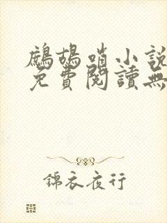 鹧鸪哨小说网站免费阅读无弹窗