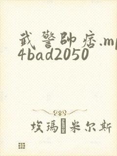 武警帅痞.mp4bad2050