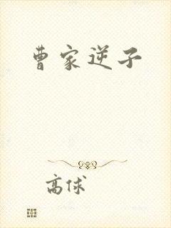 曹家逆子