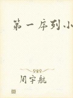 第一序列小说