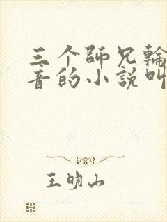 三个师兄轮流上音的小说叫什么