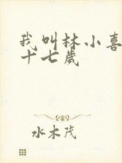 我叫林小喜今年十七岁