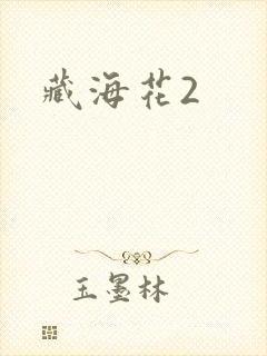 藏海花2
