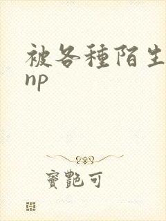 被各种陌生人 np