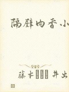 隔壁肉香小说