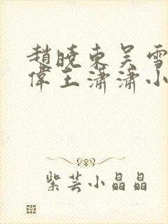 赵晓东吴雪晴郑伟王潇潇小说