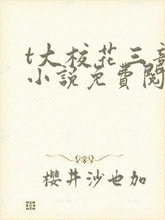 t大校花三部曲小说免费阅读全文