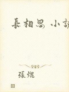 长相思 小说