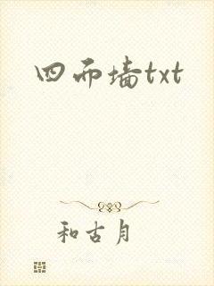 四面墙txt