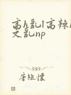 高h乱l高辣h文乱np