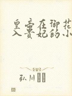 皇帝在御花园进入贵妃的小说