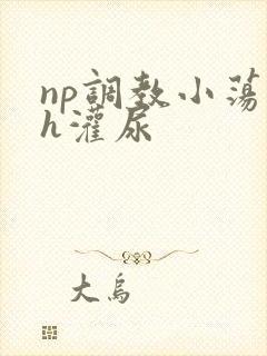 np调教小荡货h灌尿