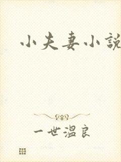 小夫妻小说