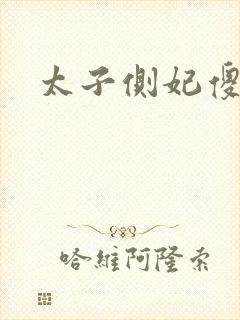 太子侧妃傻乎乎