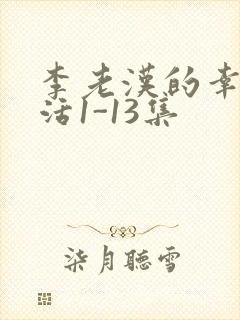 李老汉的幸福生活1-13集