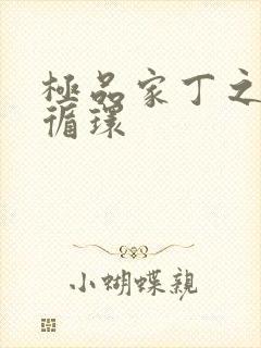 极品家丁之因果循环