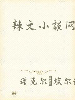 辣文小说网