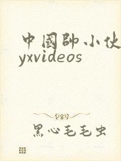中国帅小伙gayxvideos