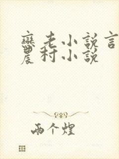 恋老小说言情网农村小说