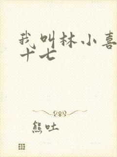 我叫林小喜今年十七