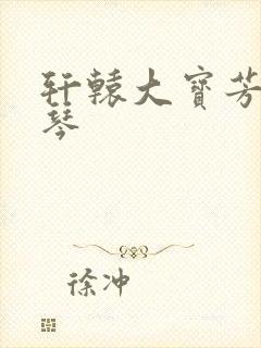 轩辕大宝芳菲雅琴