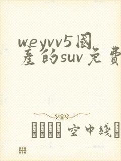 weyvv5国产的suv免费