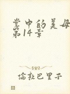 掌中的美母版主第14章