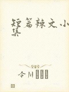 短篇辣文小说合集