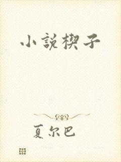 小说楔子
