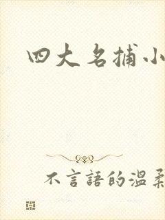 四大名捕小说