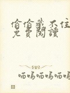 偷偷藏不住小说免费阅读