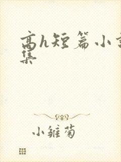 高h短篇小说合集