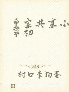 皇家共享小公主宁初