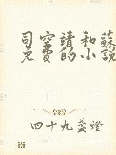 司空靖和苏月汐免费的小说笔趣阁