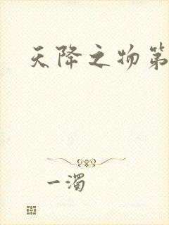 天降之物第一季