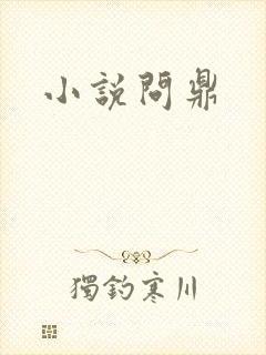 小说问鼎