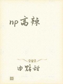 np高辣