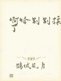 啊哈别别揉那处了