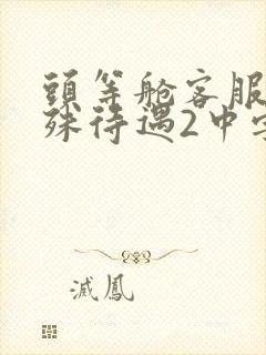 头等舱客服的特殊待遇2中字