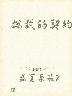 总裁的契约情人