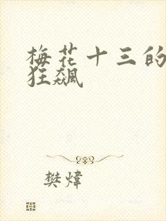 梅花十三的乳液狂飙
